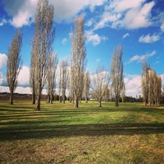 Valdichiana golf 03-12