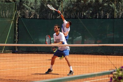 Ct Giotto - Pecorella e Bulletti