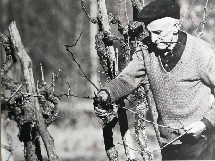 Sapori Divini foto premiata