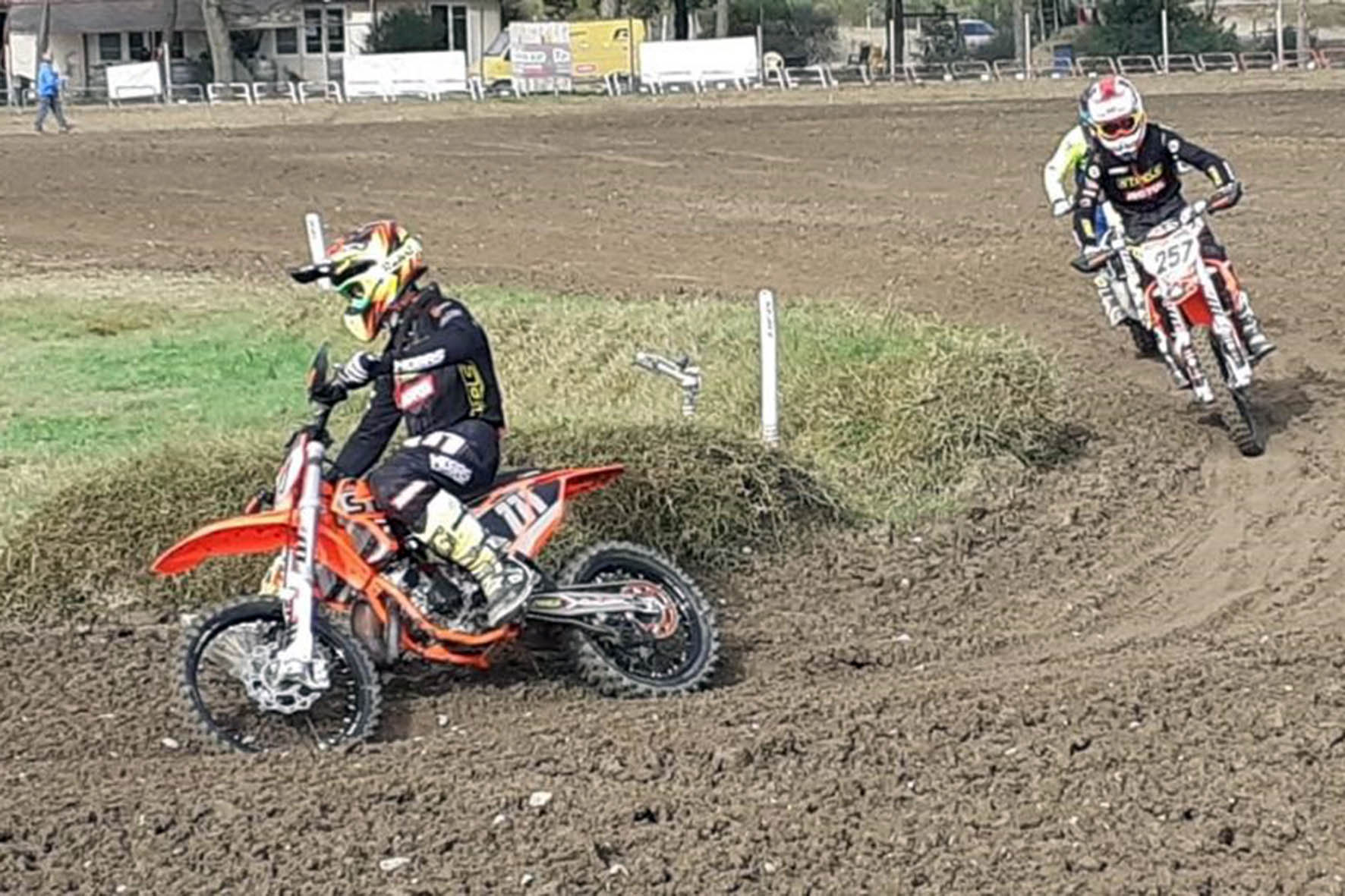 Steels - Pecorari e Botti (1) (002)