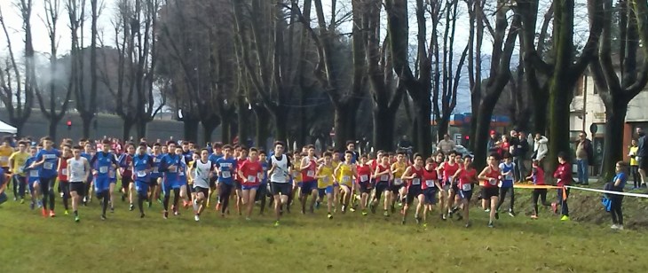 Avis Corsa Campestre