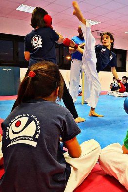 Accademia Karate Casentino - Settore giovanile (2) (002)